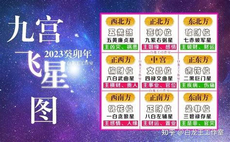 九官飛星 2023